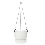 greenville hanging basket 24cm white